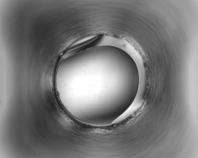 X0000087630393200705101032