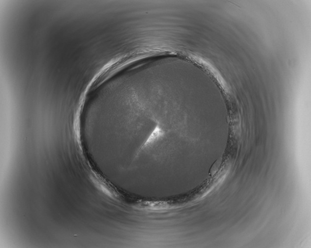 X0000087630395200705101032