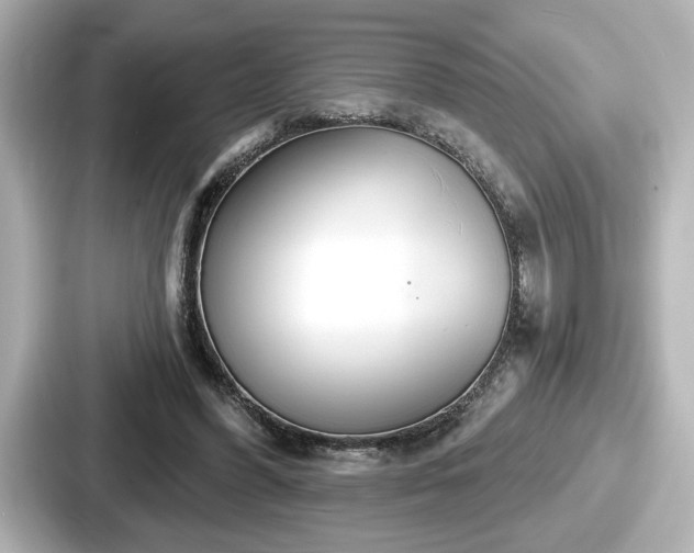 X0000087630396200705101032