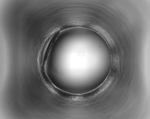 X0000087630398200705101032