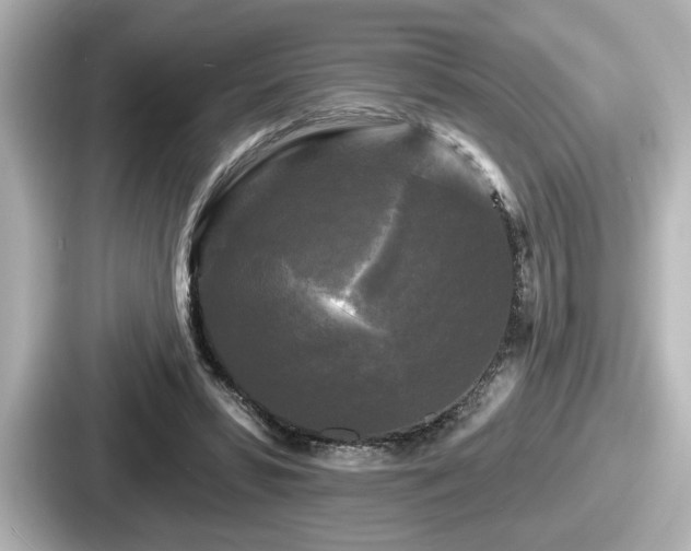 X0000087630399200705101032