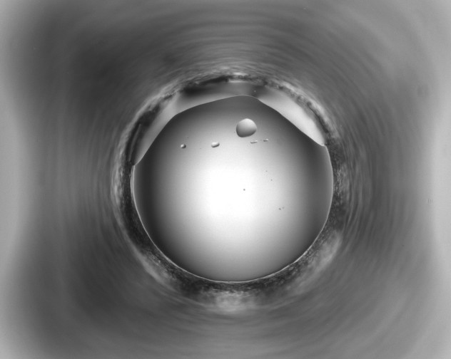 X0000087630400200705101032