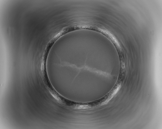 X0000087630401200705101032