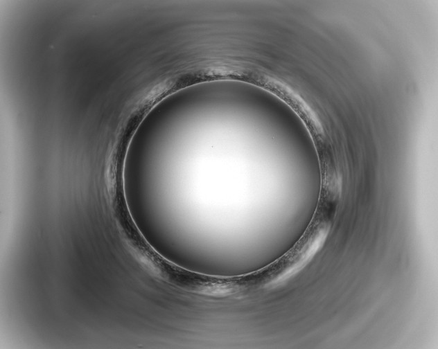 X0000087630402200705101032