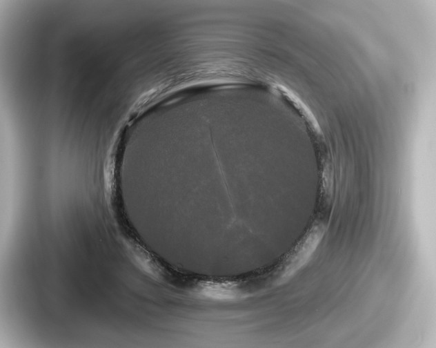 X0000087630403200705101032