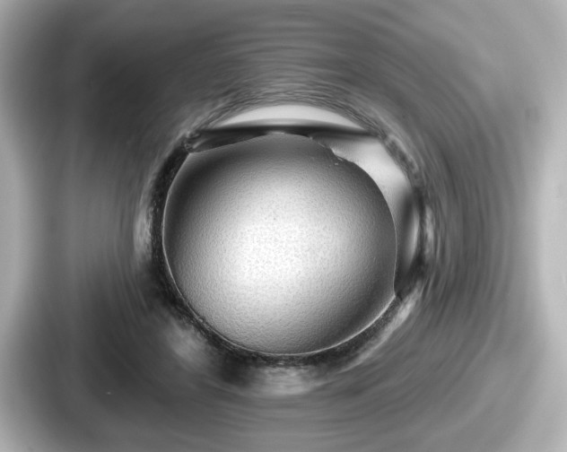 X0000087630404200705101032