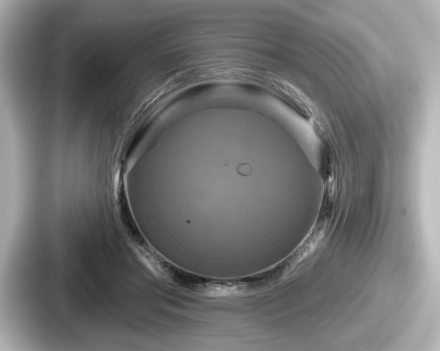 X0000087630405200705101032