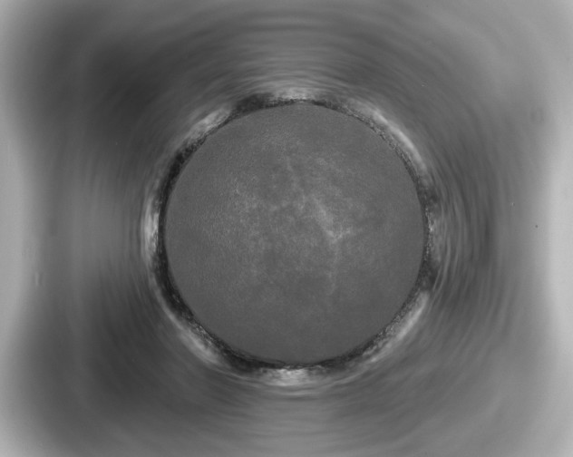 X0000087630406200705101031