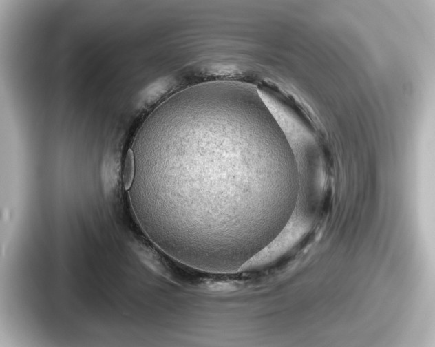 X0000087630407200705101031