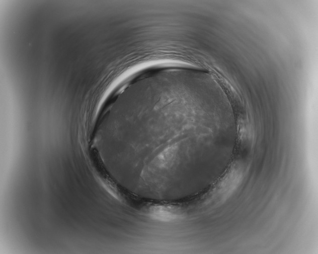 X0000087630408200705101031