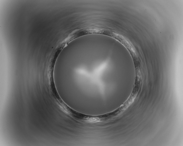 X0000087630409200705101031