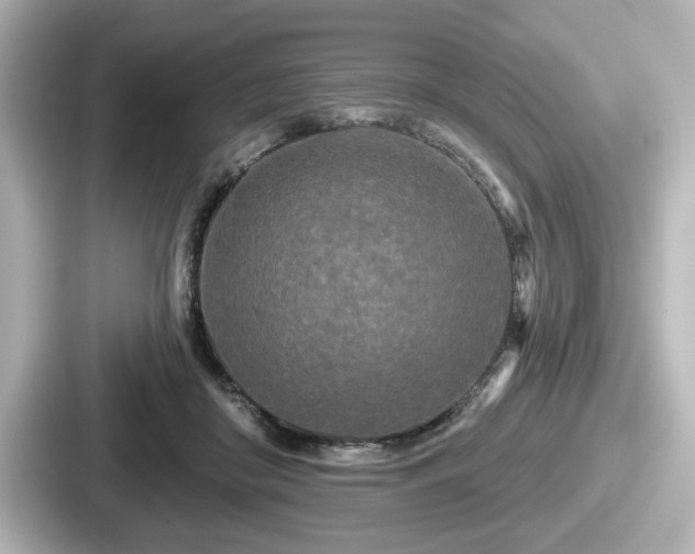 X0000087630410200705101031