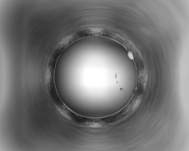 X0000087630412200705101031