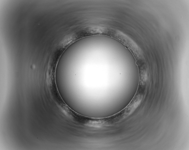 X0000087630414200705101031