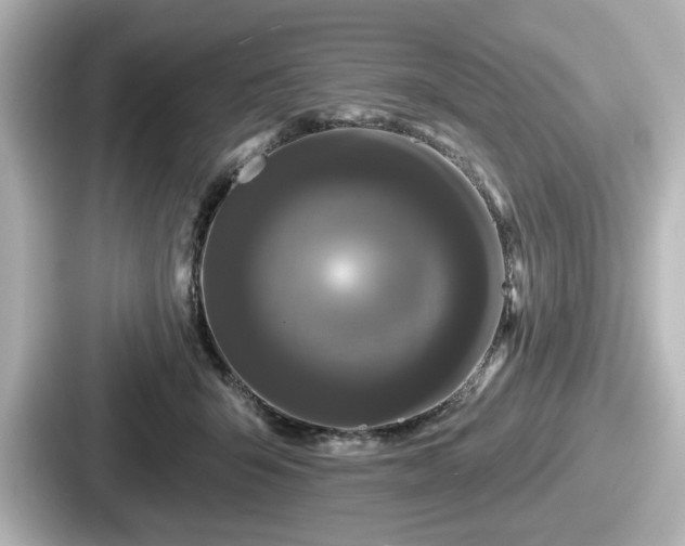 X0000087630415200705101031