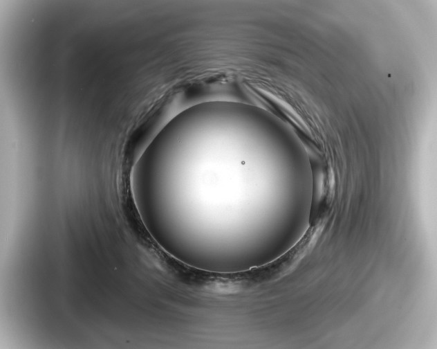 X0000087630416200705101031