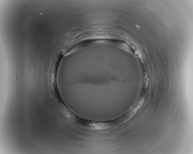 X0000087630417200705101031