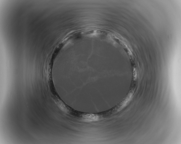 X0000087630421200705101031