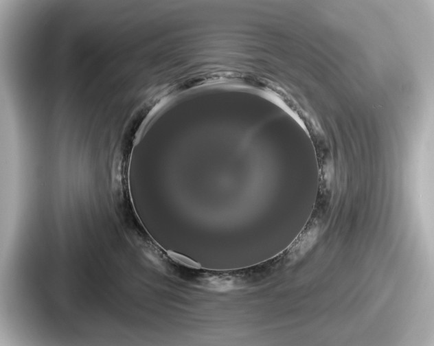 X0000087630423200705101031