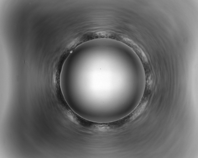 X0000087630424200705101031