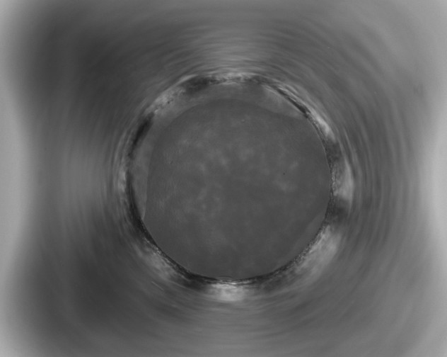 X0000087630425200705101031