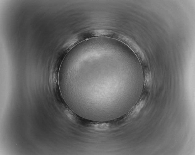 X0000087630426200705101031