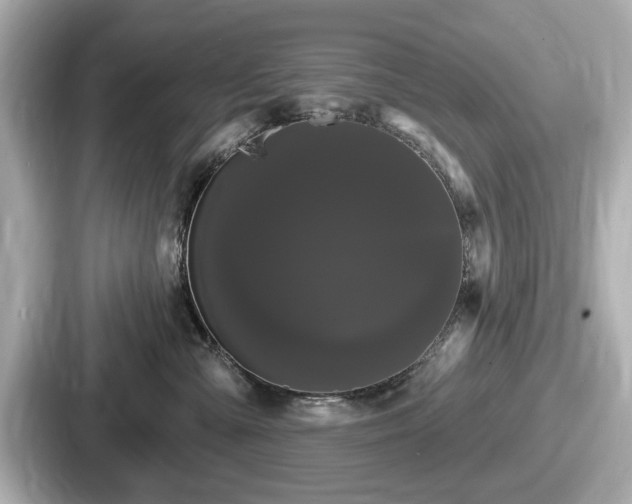 X0000087630427200705101031