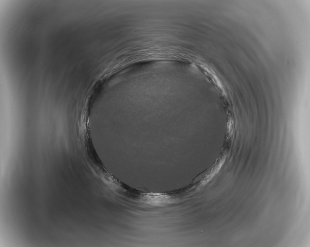 X0000087630429200705101031