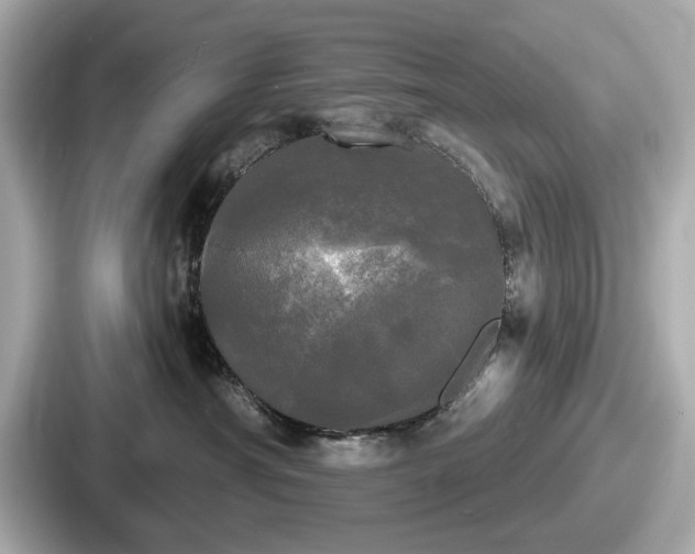 X0000087630430200705101031