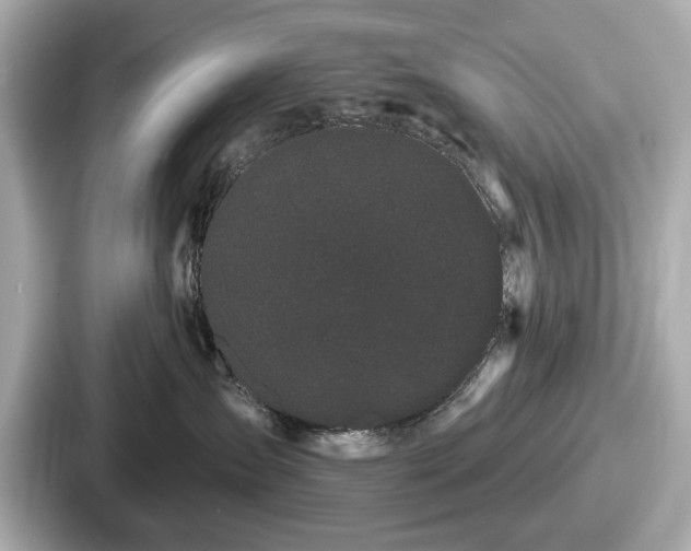 X0000087630431200705101031