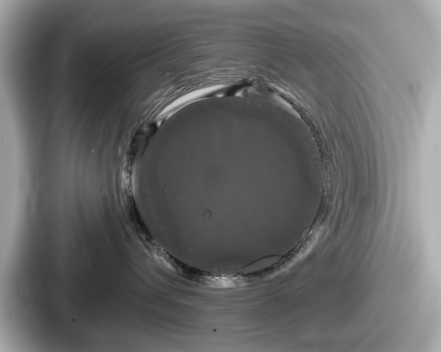 X0000087630432200705101031