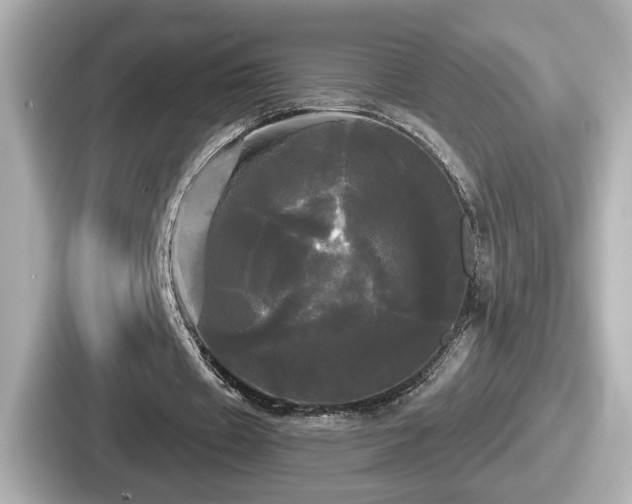 X0000087630433200705101031