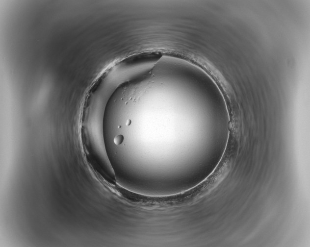 X0000087630434200705101031