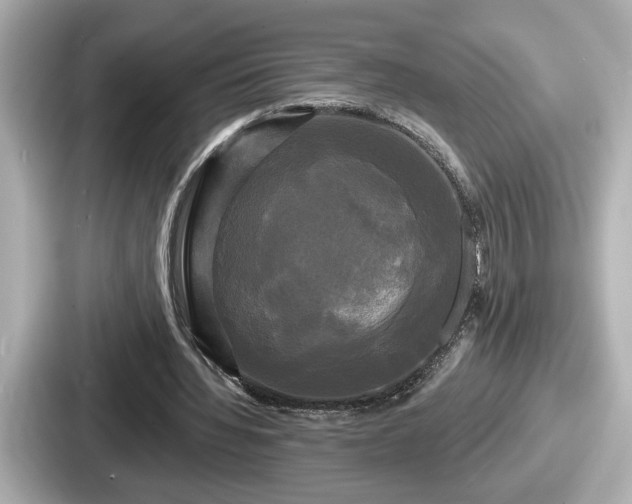 X0000087630436200705101031