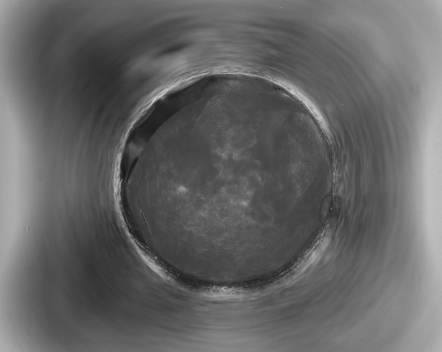 X0000087630437200705101031