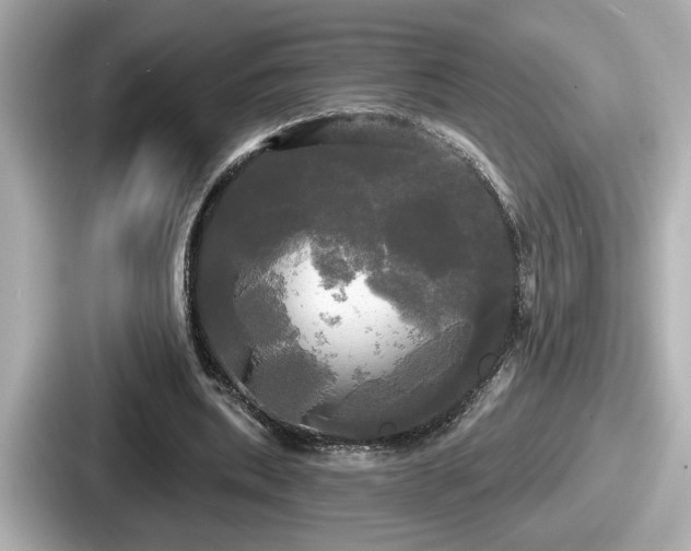 X0000087630439200705101031