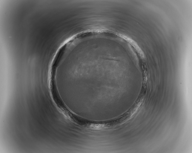 X0000087630440200705101031