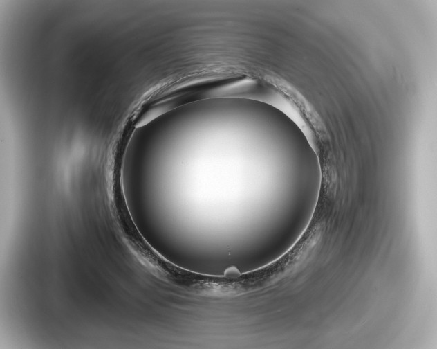 X0000087630442200705101031