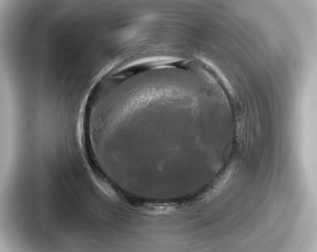 X0000087630443200705101031