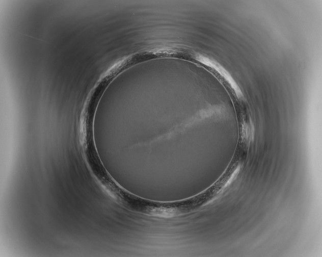 X0000087630444200705101031