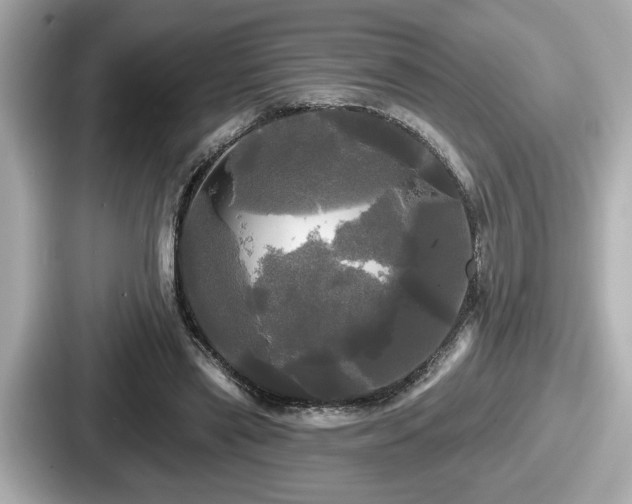 X0000087630445200705101031