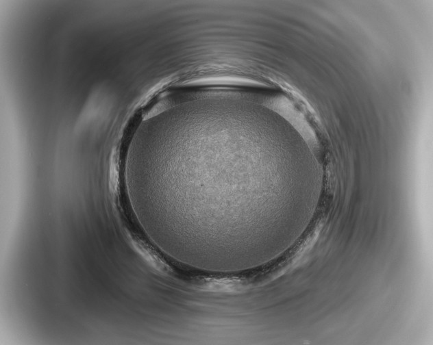 X0000087630446200705101031