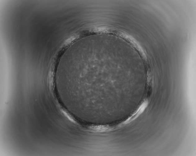 X0000087630449200705101031