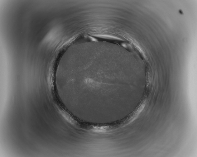 X0000087630450200705101031