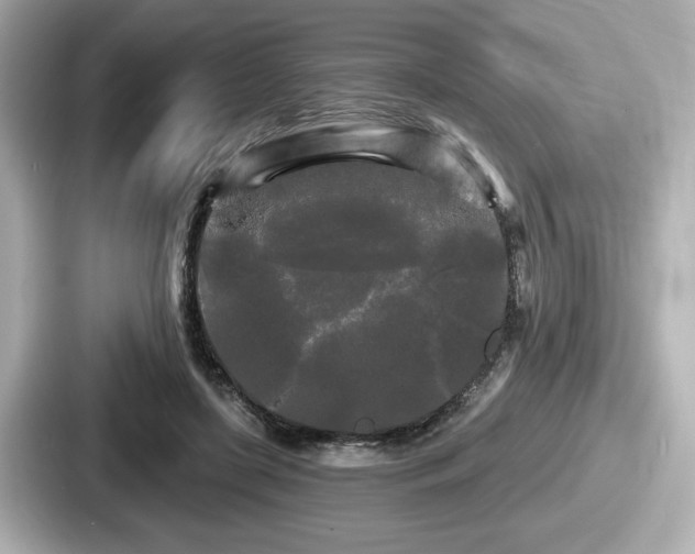 X0000087630451200705101031