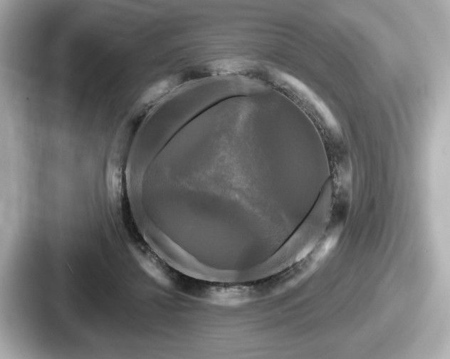 X0000087630452200705101031