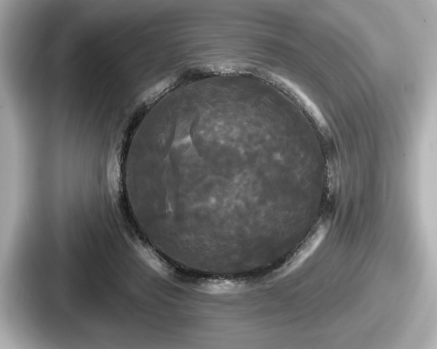 X0000087630453200705101031