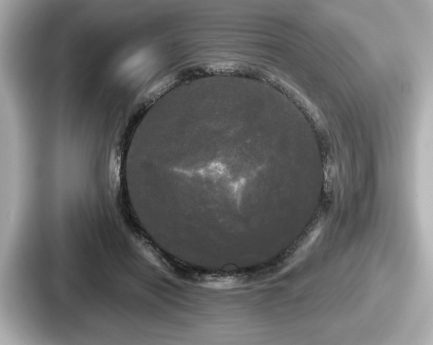 X0000087630454200705101031