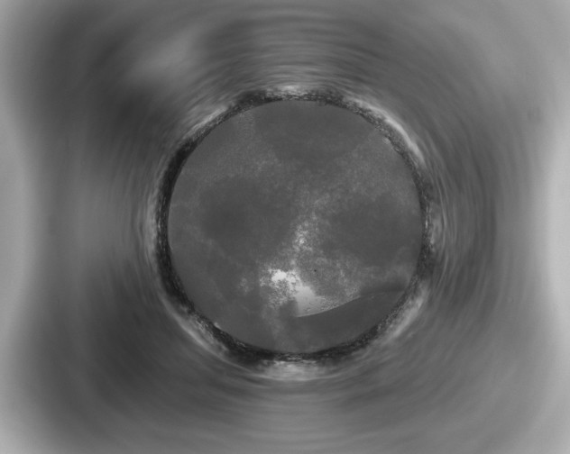 X0000087630455200705101031