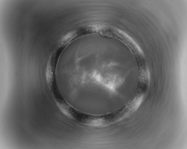 X0000087630456200705101031